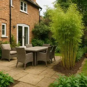 Do You Need A Bamboo Root Barrier